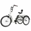 Pfautec Combo Special EBike Triciclo -Vendite Ricambi Ebike pfautec combo special ebike triciclo